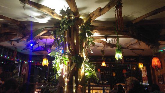 Foro Cultural Kinoki